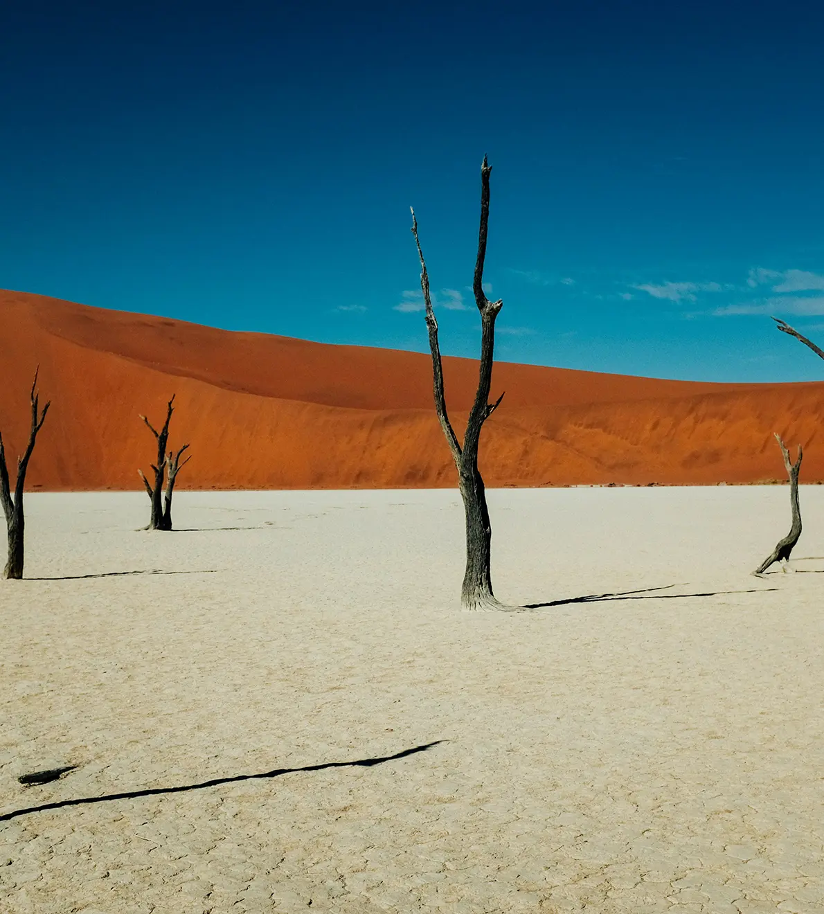 Aventura en Namibia