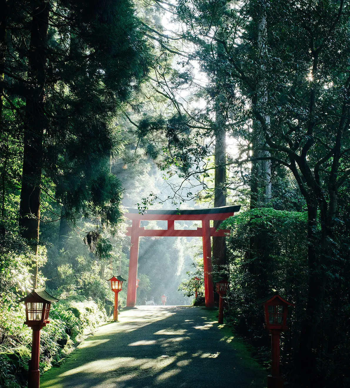 Japón: Tradición y modernidad