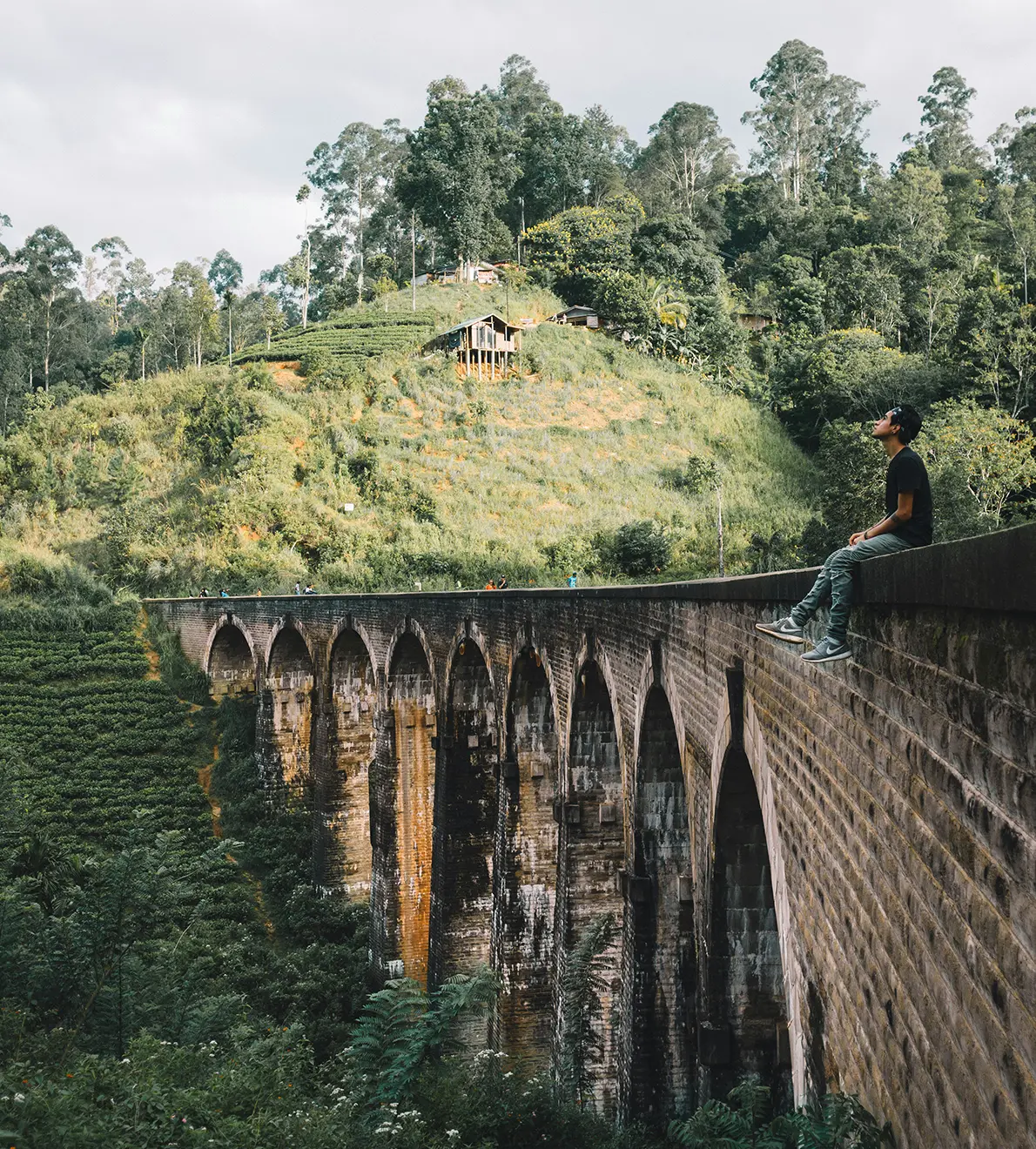 Sri Lanka: Cultura, naturaleza y aventura