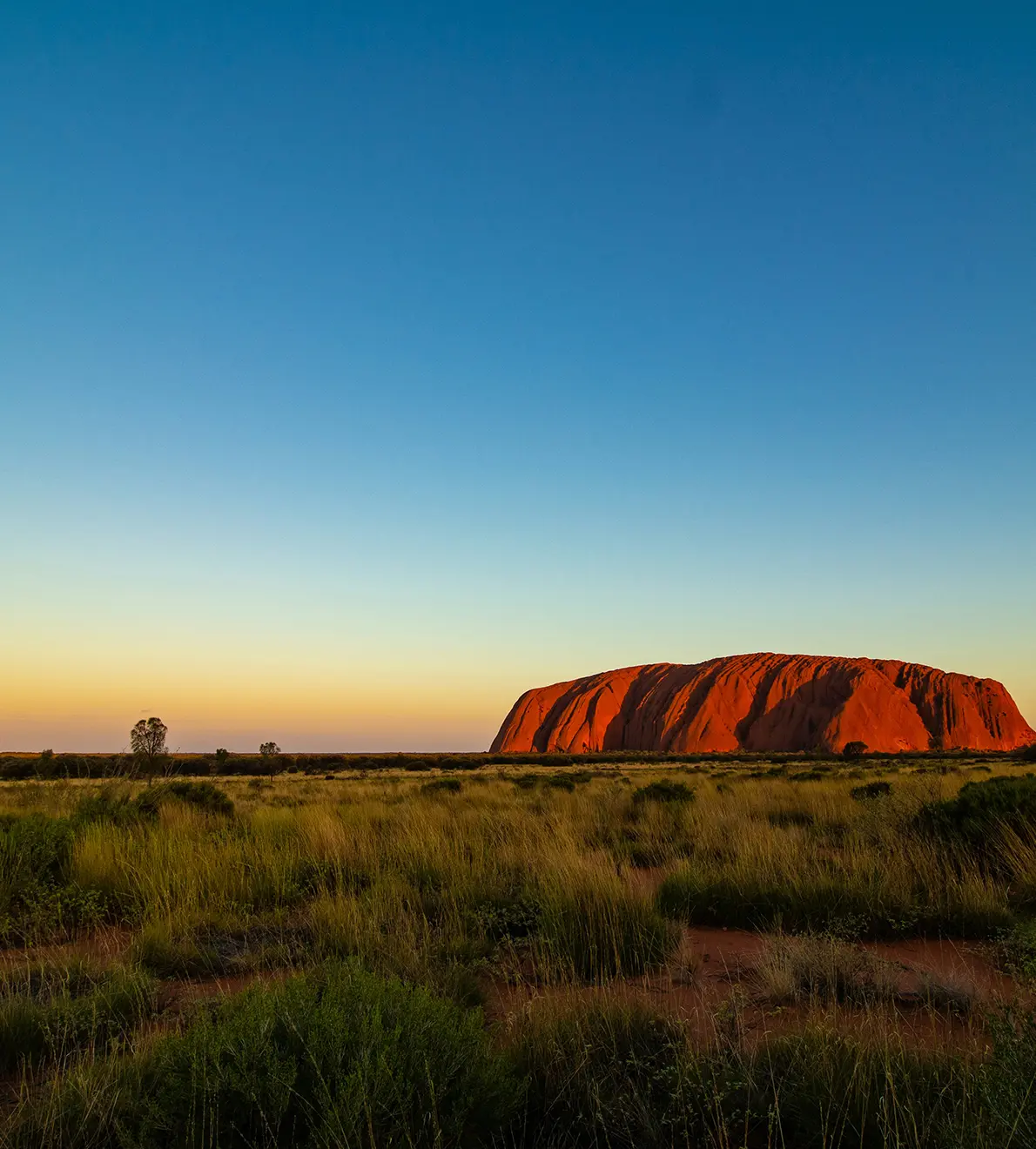 Australia: Diversidad natural y ciudades vibrantes