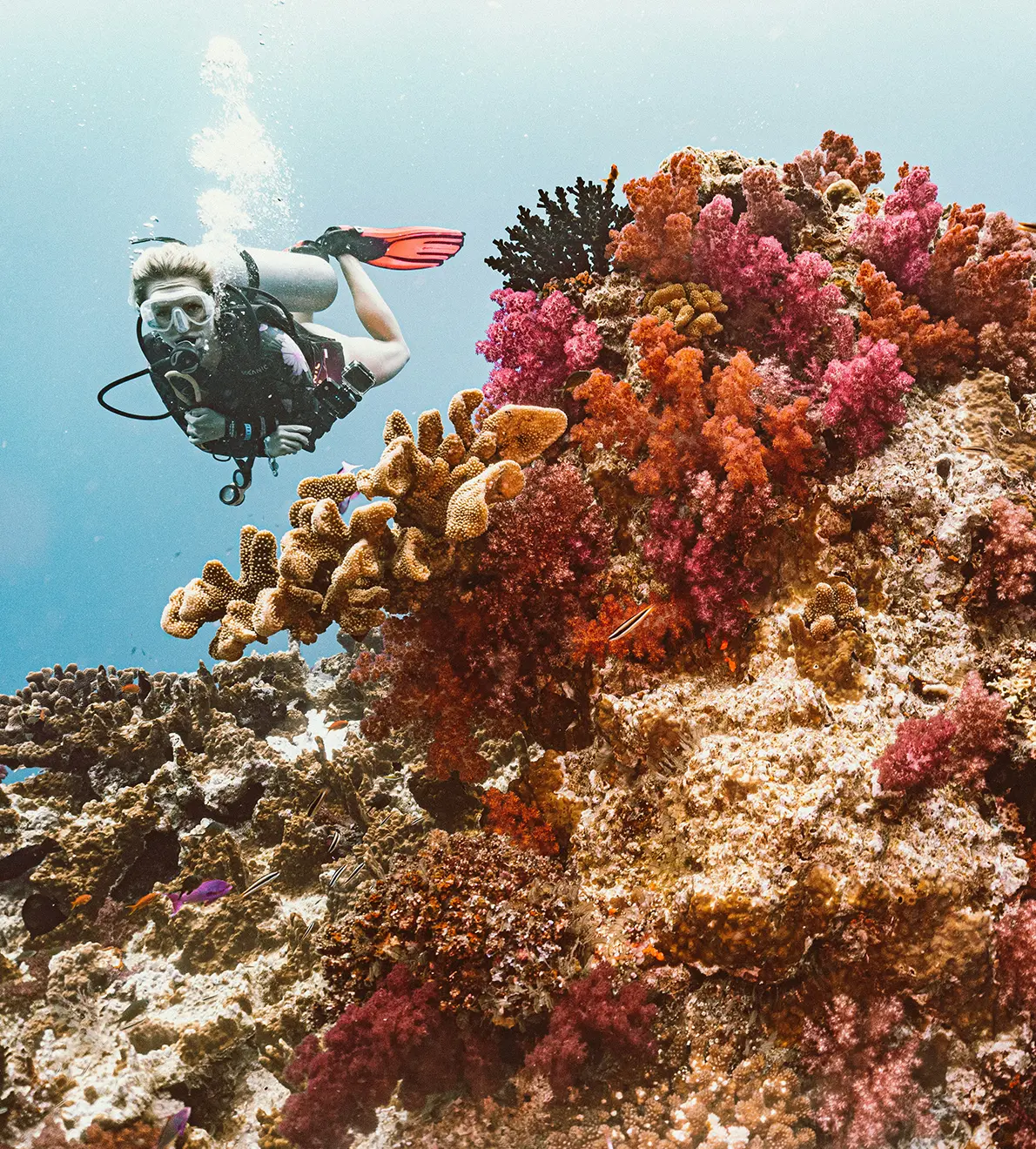 Fiyi: Hospitalidad, naturaleza y playas vírgenes