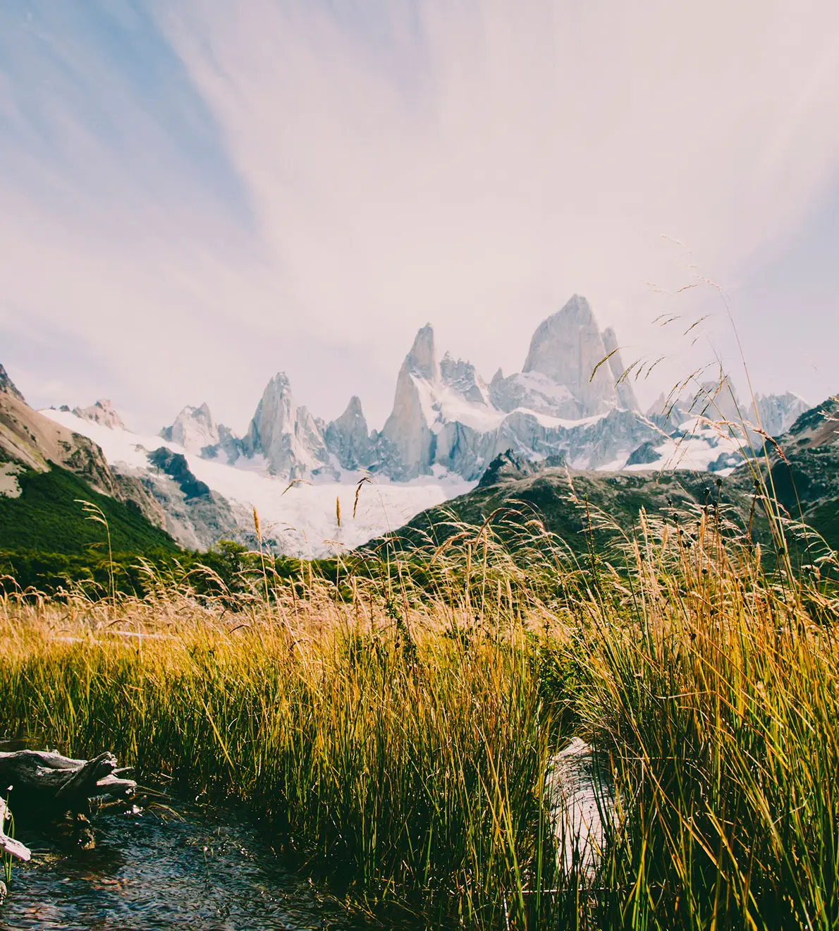 Patagonia: Naturaleza en estado puro