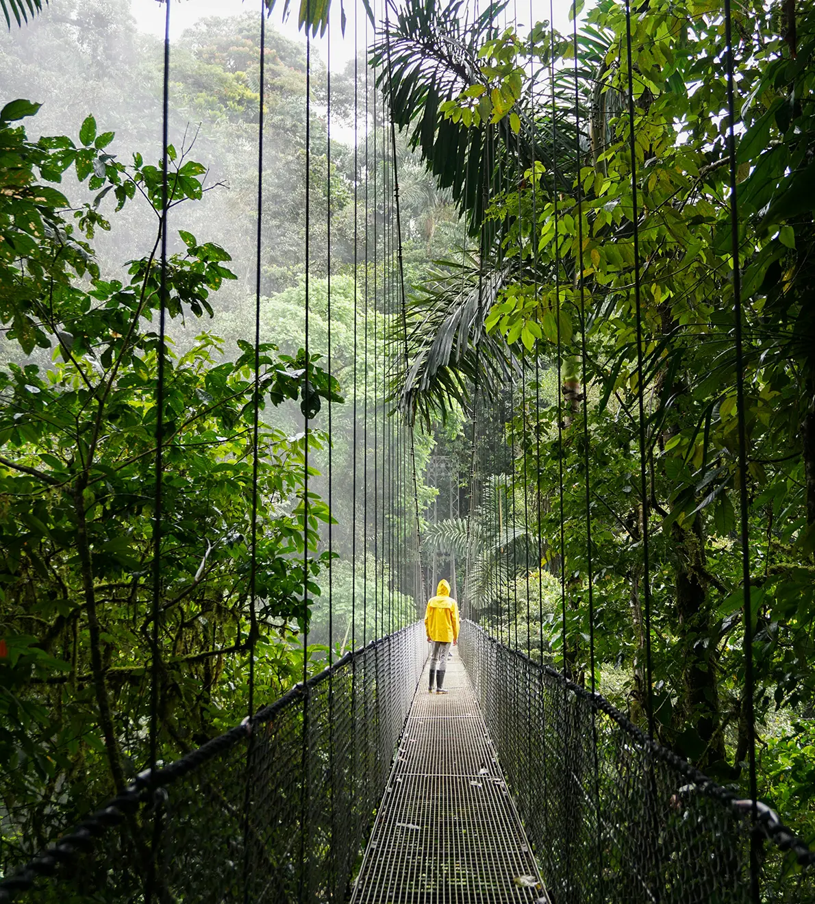 Costa Rica: Paraíso de biodiversidad