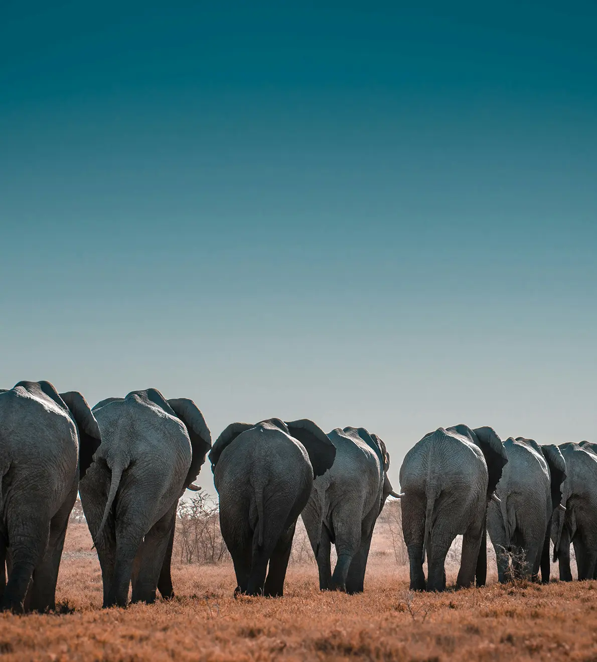 Aventura en Namibia