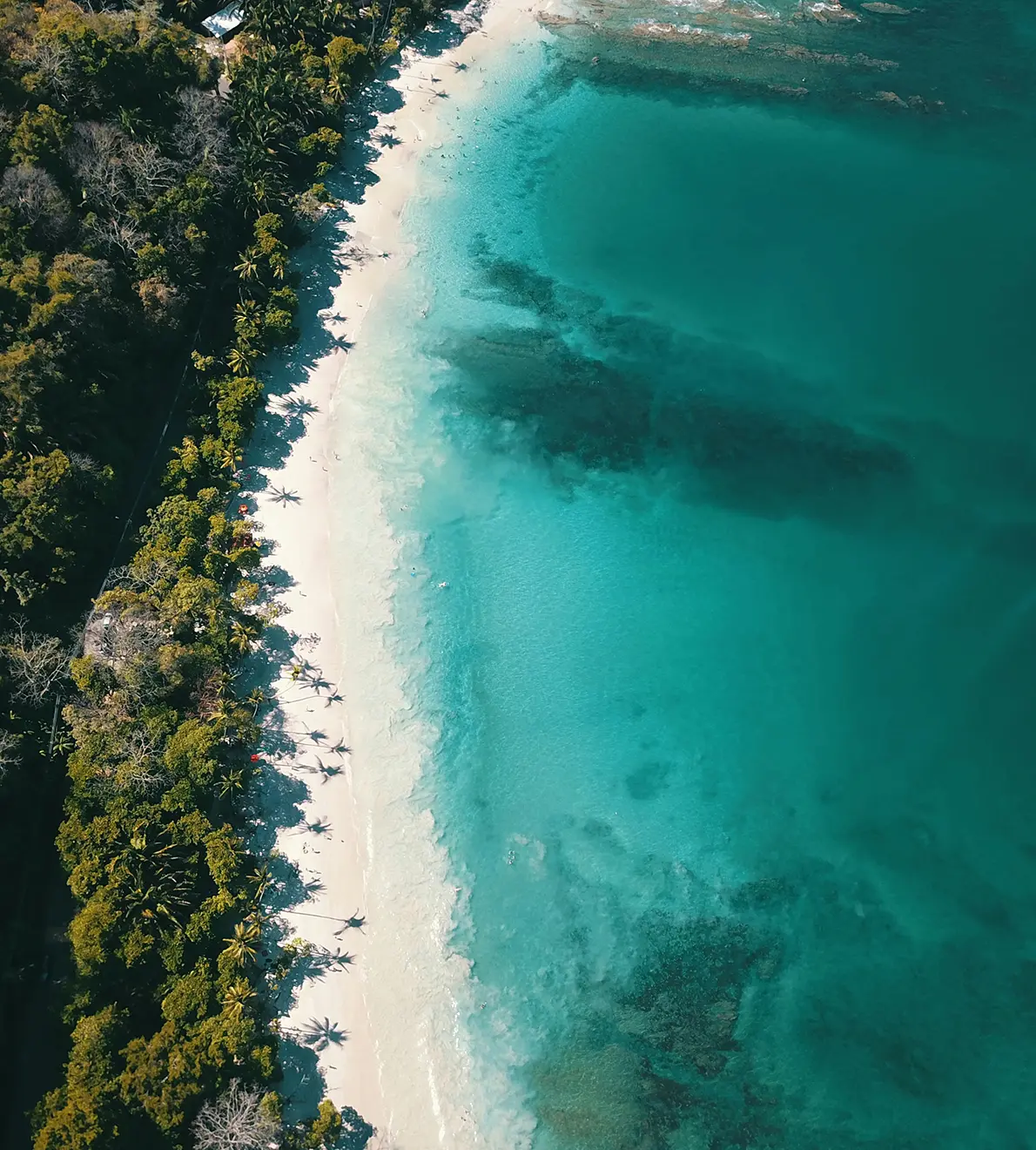 Costa Rica: Paraíso de biodiversidad