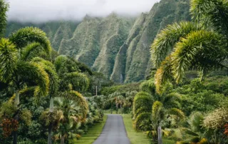 Hawaii camino