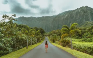 Hawaii montanas