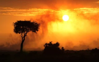Atardecer de safari en Masai Mara Atardecer de safari en Masai Mara
