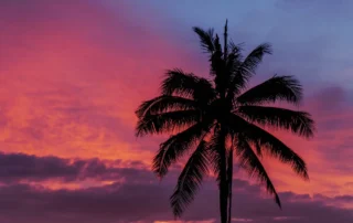 Atardecer en una playa de Bali con palmeras