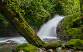 Cascada en la selva tropical de Costa Rica Cascada en la selva tropical de Costa Rica