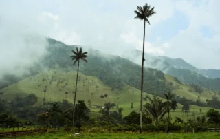 Colombia: Cartagena, el café y el Caribe – 11 días Colombia: Cartagena, el café y el Caribe – 11 días
