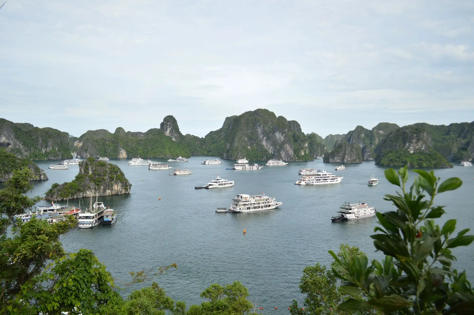 Cruceros entre los islotes de la bahía de Halong