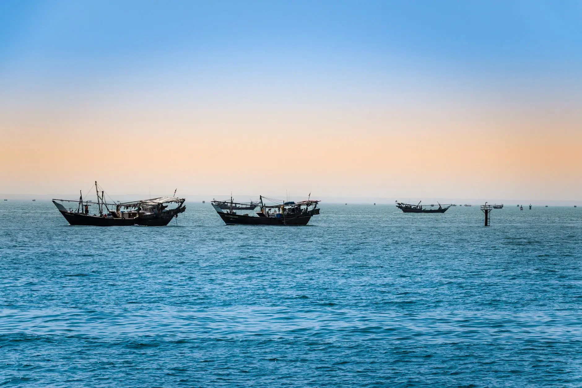 Dhows tradicionales navegando al atardecer frente a la costa de Omán
