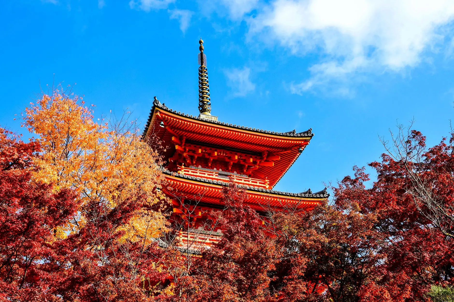 Pagoda del templo Kiyomizu-dera de Kioto rodeada de arces rojos en otoño