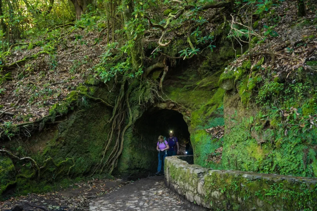 Luna de miel en Madeira: la isla de la eterna primavera – 7 días