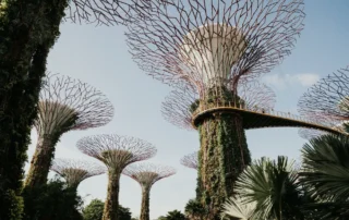 Supertrees de Gardens by the Bay en Singapur Supertrees de Gardens by the Bay en Singapur