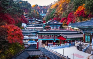 Templo coreano rodeado de arces en otoño Templo coreano rodeado de arces en otoño