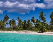 Playa de arena blanca y palmeras sobre agua turquesa en el Caribe