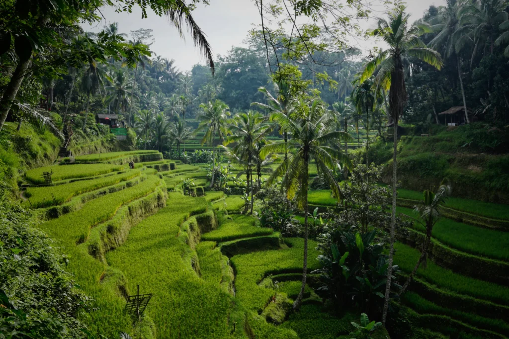 Bali: circuito para novios – 12 días