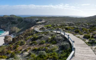 Pasarela de madera junto a los acantilados y una playa del Cabo de Buena Esperanza, en Sudáfrica