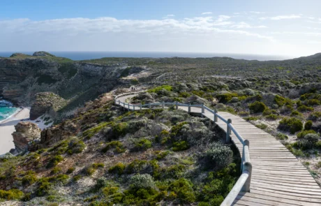 Pasarela de madera junto a los acantilados y una playa del Cabo de Buena Esperanza, en Sudáfrica