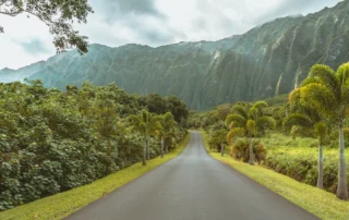 Palmondo eta lorategien arteko errepidea, Koʻolau mendietara daramana, Hoʻomaluhian, Oahun