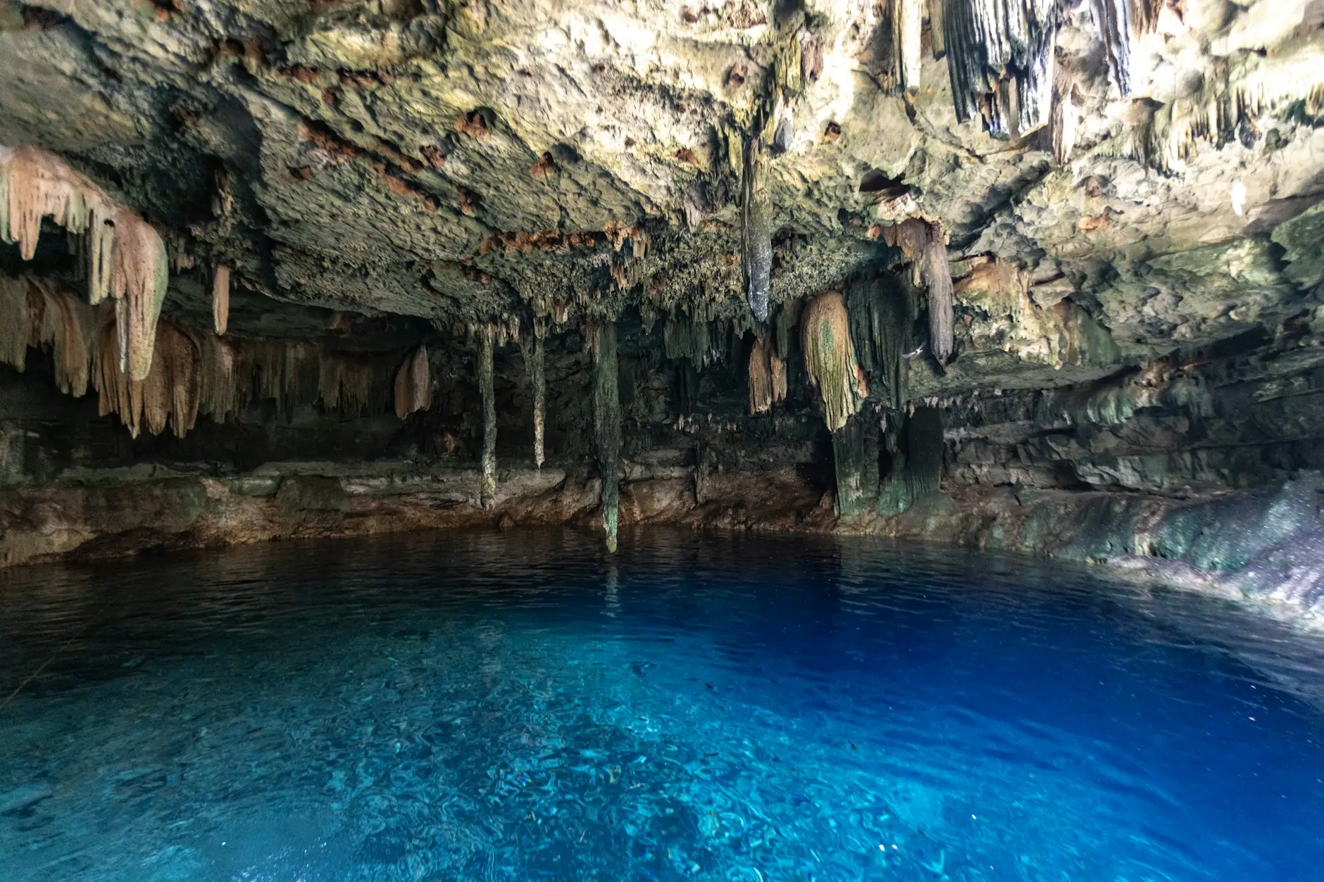 Cenote en una cueva con estalactitas y agua azul cristalina en la península de Yucatán