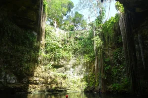 Cenote de paredes cubiertas de lianas y vegetación selvática en la península de Yucatán, México