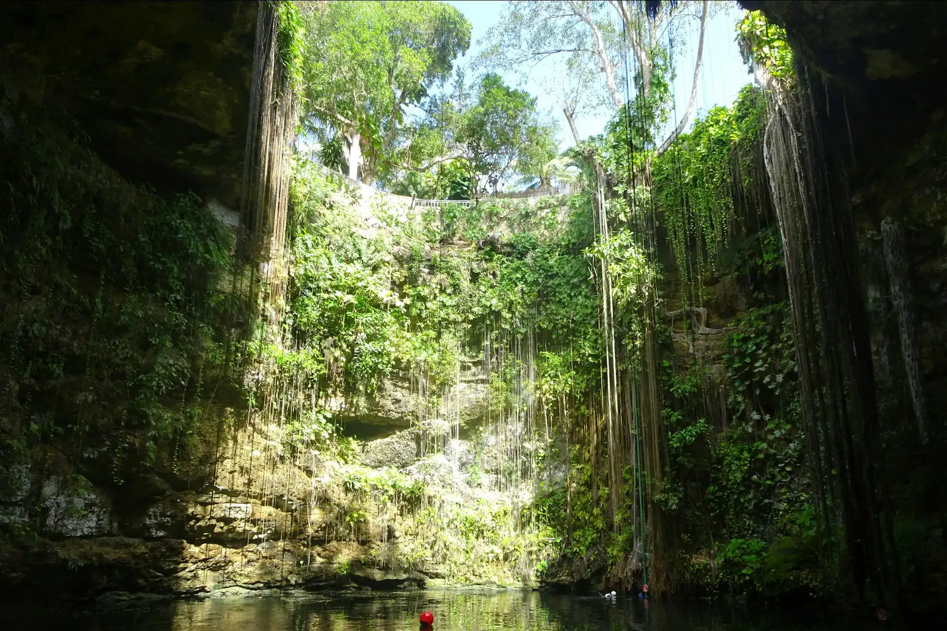 Cenote de paredes cubiertas de lianas y vegetación selvática en la península de Yucatán, México