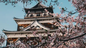 Cerezos en flor delante del castillo de Hiroshima, en Japón