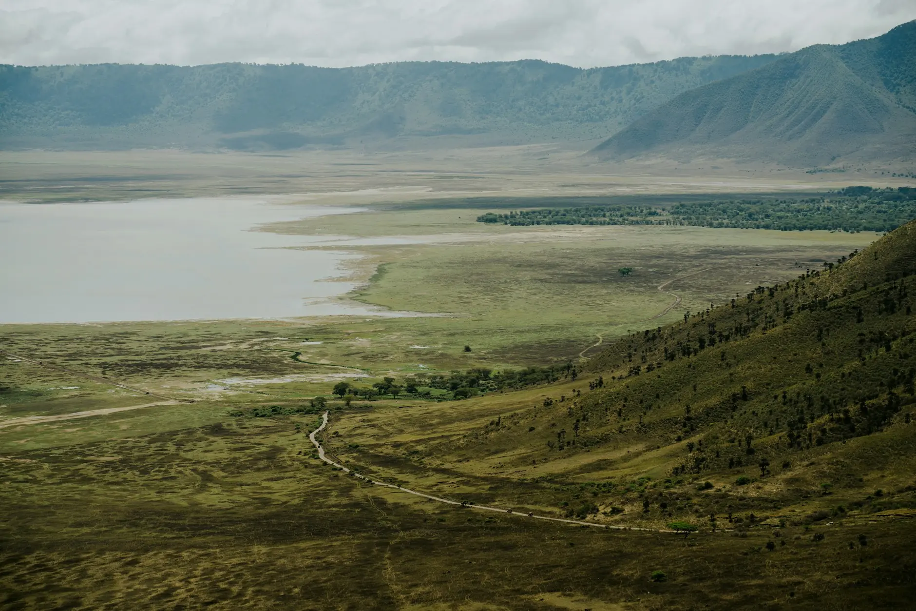 Vista del cráter del Ngorongoro con su lago desde el borde Panorámica del cráter del Ngorongoro con su lago y las verdes laderas del borde volcánico