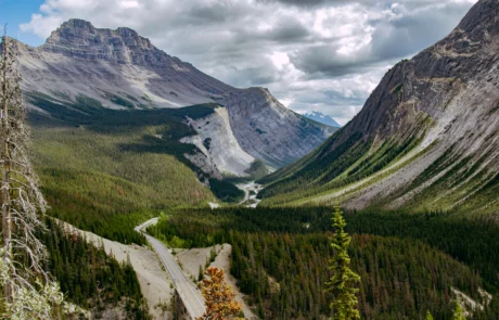 Mendi Harritsuetako harana eta gailurrak Icefields Parkwaytik Icefields Parkway errepidea sigi-saga haran berde batean, Kanadako Mendi Harritsuetako gailurren artean