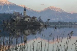 Iglesia de la isla del lago Bled reflejada en el agua con los Alpes Julianos rosados al atardecer