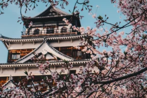 Cerezos en flor en primer plano y el castillo de Hiroshima al fondo bajo un cielo azul de primavera en Japón