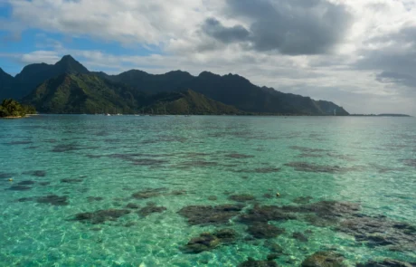Laguna cristalina y montañas volcánicas verdes de Moorea Aguas turquesas sobre el arrecife de coral de Moorea con sus picos volcánicos verdes al fondo