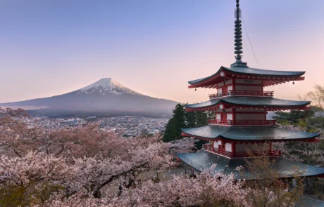 Pagoda Chureito y monte Fuji entre cerezos en flor Monte Fuji nevado junto a la pagoda roja Chureito rodeada de cerezos en flor en Japón