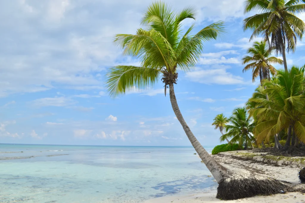 Paraíso dominicano – 15 días