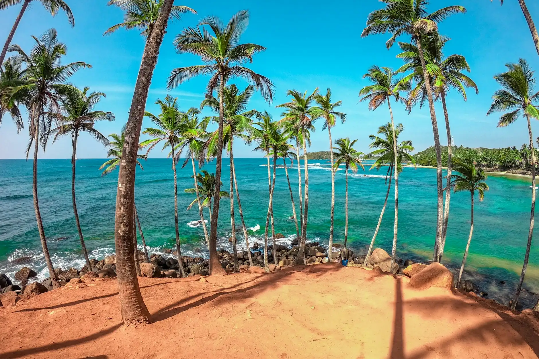 Palmeras cocoteras frente al océano turquesa en la colina Coconut Tree Hill de Mirissa