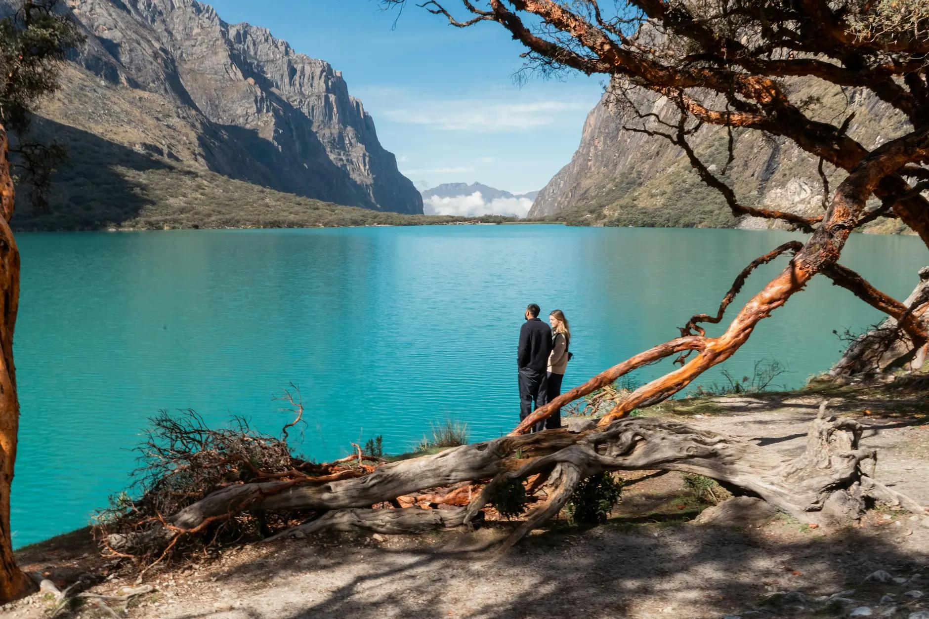 Pareja de pie a orillas de un lago turquesa entre montañas, enmarcada por un árbol retorcido