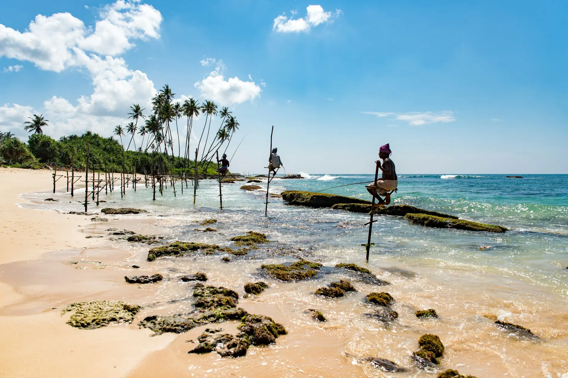Pescadores tradicionales sobre zancos de madera en la orilla de la costa sur de Sri Lanka, cerca de Weligama