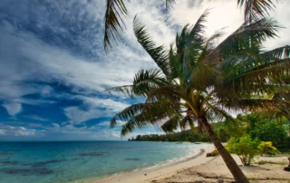 Playa tranquila de arena blanca con palmeras en la Polinesia Francesa Palmera inclinada sobre una playa de arena blanca y agua turquesa en la Polinesia Francesa