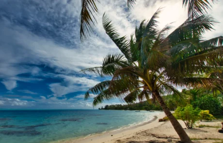 Playa tranquila de arena blanca con palmeras en la Polinesia Francesa Palmera inclinada sobre una playa de arena blanca y agua turquesa en la Polinesia Francesa