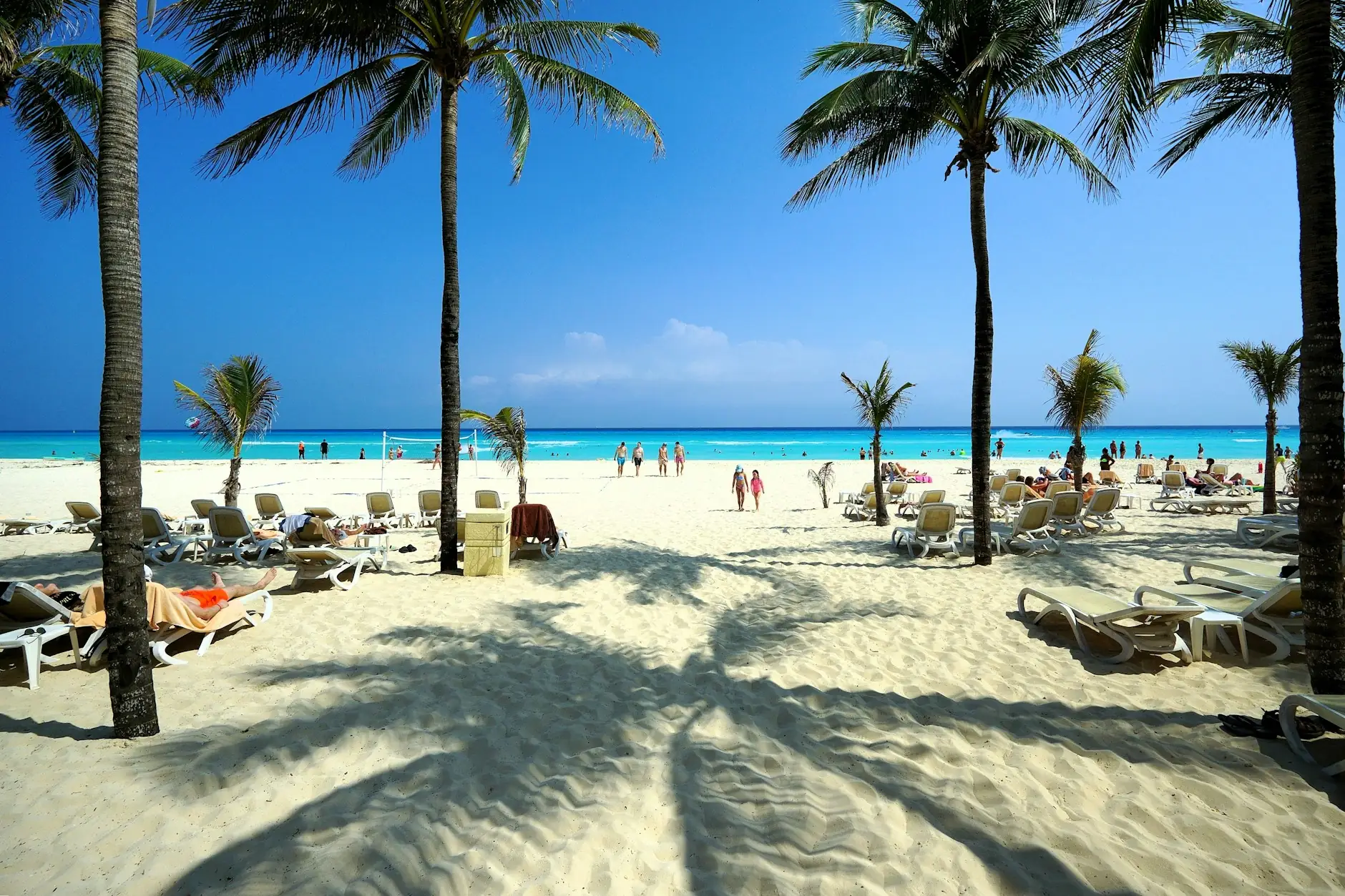 Playa caribeña de Riviera Maya con palmeras, tumbonas y mar turquesa bajo el cielo azul