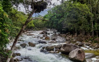 Río entre rocas en la selva de Daintree, Mossman Gorge Río de aguas rápidas entre grandes rocas y selva tropical en Mossman Gorge, Daintree, Australia