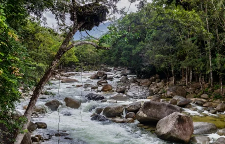 Río entre rocas en la selva de Daintree, Mossman Gorge Río de aguas rápidas entre grandes rocas y selva tropical en Mossman Gorge, Daintree, Australia