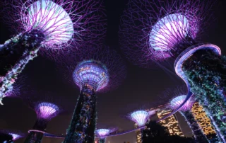 Supertrees iluminados de Gardens by the Bay de noche en Singapur Los Supertrees de Gardens by the Bay en Singapur iluminados en tonos morados por la noche