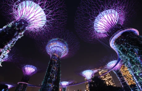 Supertrees iluminados de Gardens by the Bay de noche en Singapur Los Supertrees de Gardens by the Bay en Singapur iluminados en tonos morados por la noche