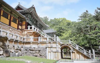 Escalinatas de piedra y pabellones del templo Bulguksa en Gyeongju Templo budista Bulguksa en Gyeongju con sus escalinatas de piedra, pabellones de madera y pinos alrededor