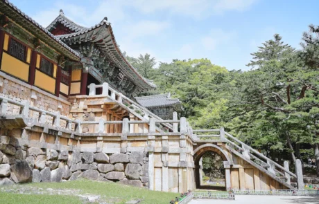 Escalinatas de piedra y pabellones del templo Bulguksa en Gyeongju Templo budista Bulguksa en Gyeongju con sus escalinatas de piedra, pabellones de madera y pinos alrededor