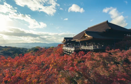 Kiyomizu-dera tenplua Kiotoko udazkeneko basoaren artean Kiyomizu-dera tenplua mendi-hegalean, astigar gorriz inguratuta udazkenean, Kioton, Japonian